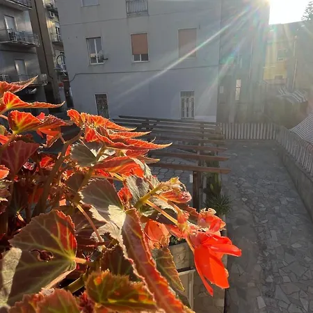 Oda ve Kahvaltı Anemoi 3*