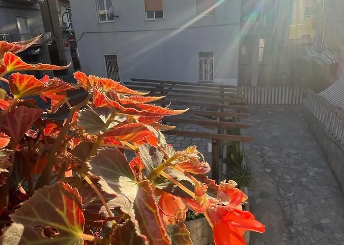 Bed & Breakfast Anemoi 3*